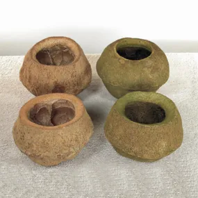 5" Natural Sapa Pod