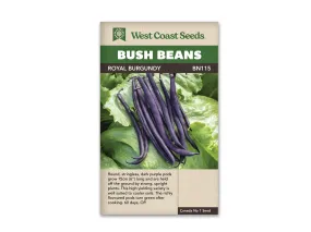 Beans - Royal Burgundy (Seeds)
