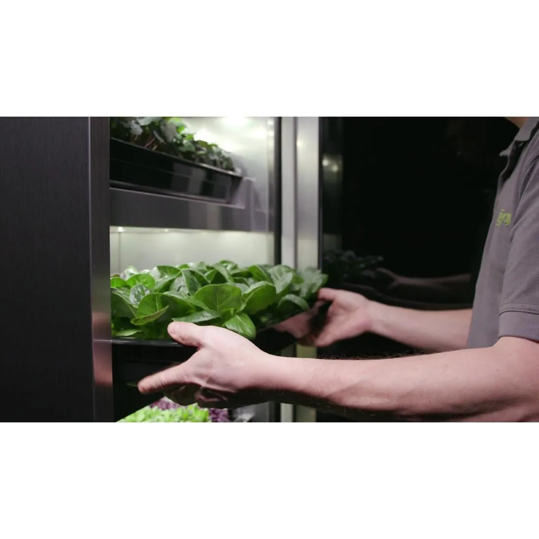 DF965 Evogro Plant Growing System 40132-WS L
