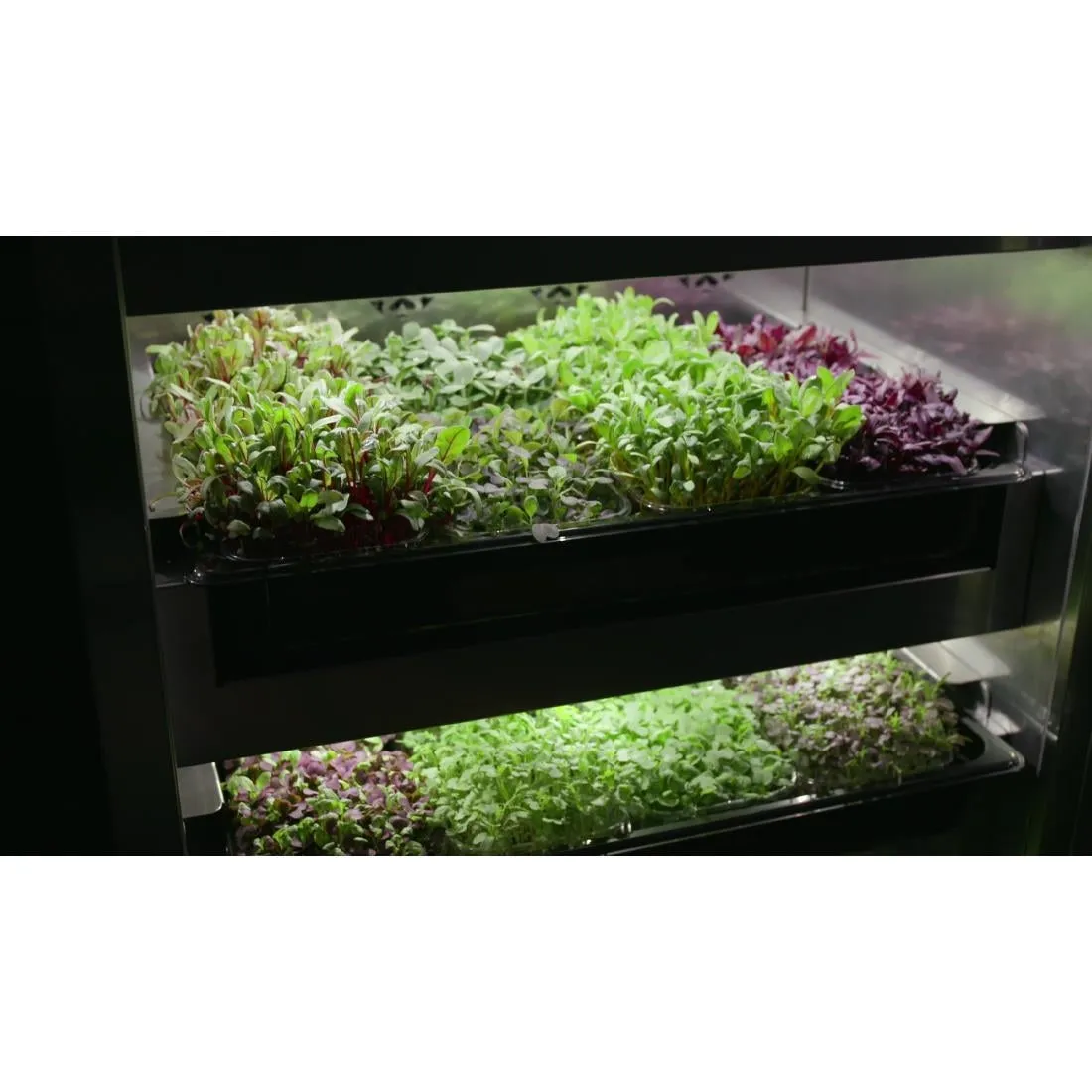 DF965 Evogro Plant Growing System 40132-WS L