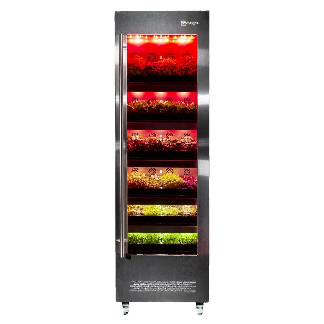 DF965 Evogro Plant Growing System 40132-WS L