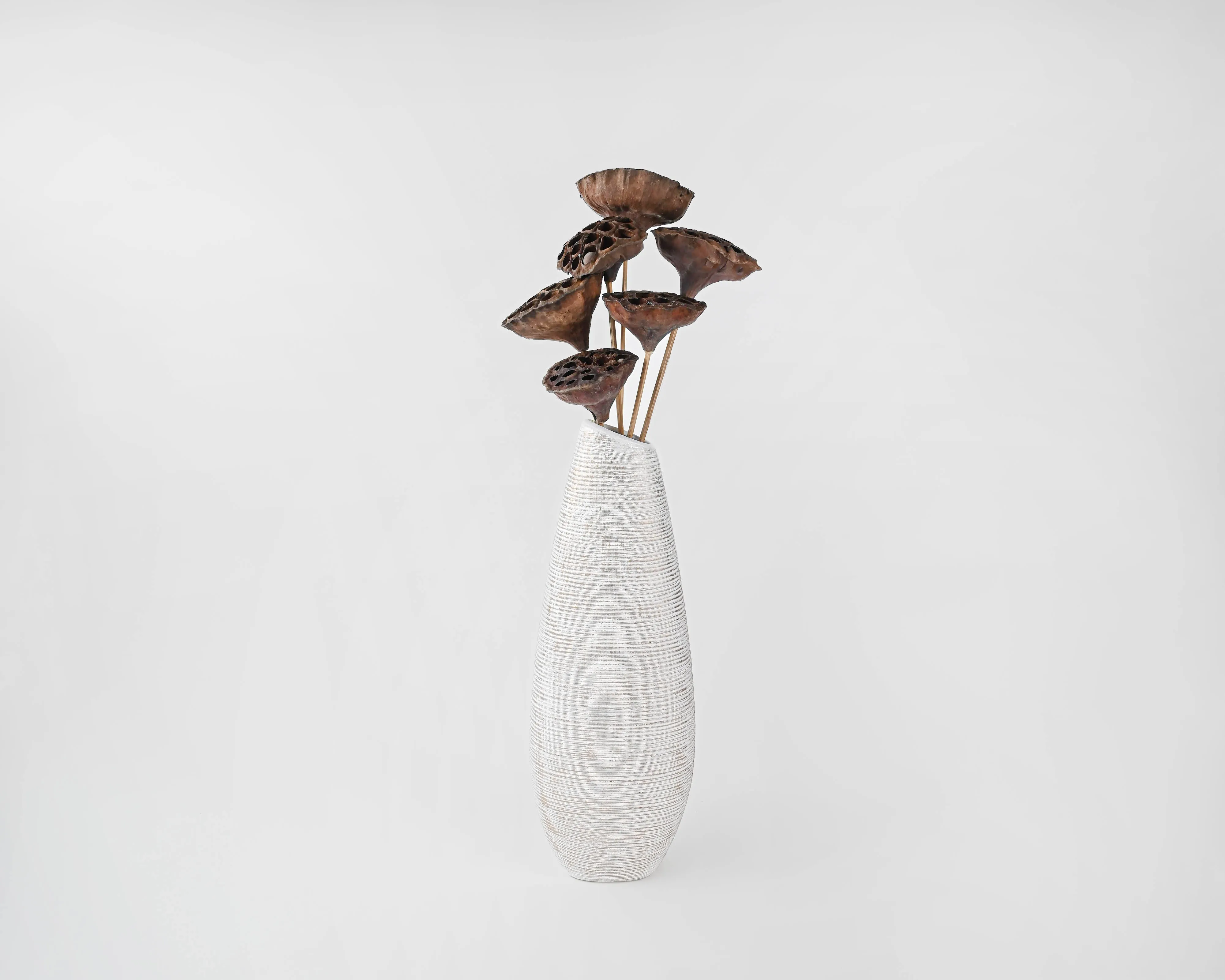 Dried Lotus Pods