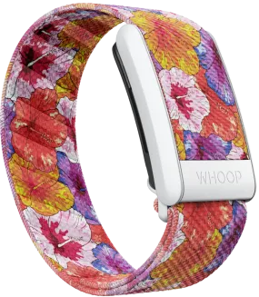 Hibiscus SuperKnit Band
