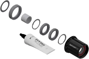 NEW DT Swiss Ratchet LN Freehub Body Upgrade Kit - Shimano HG 11 MTN, Standard, Aluminum, Sealed Bearing, 18T